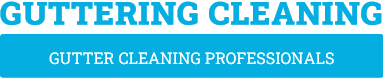 Hamilton Gutter Cleaning - Gutter Cleaning Hamilton